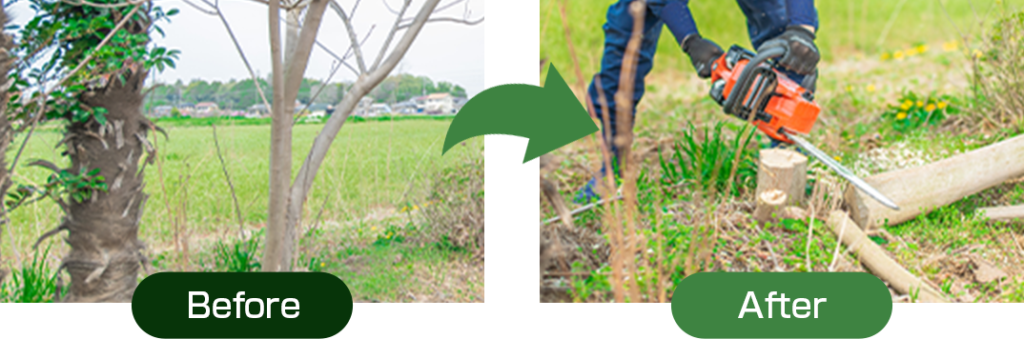 庭木の伐採・抜根BeforeAfter