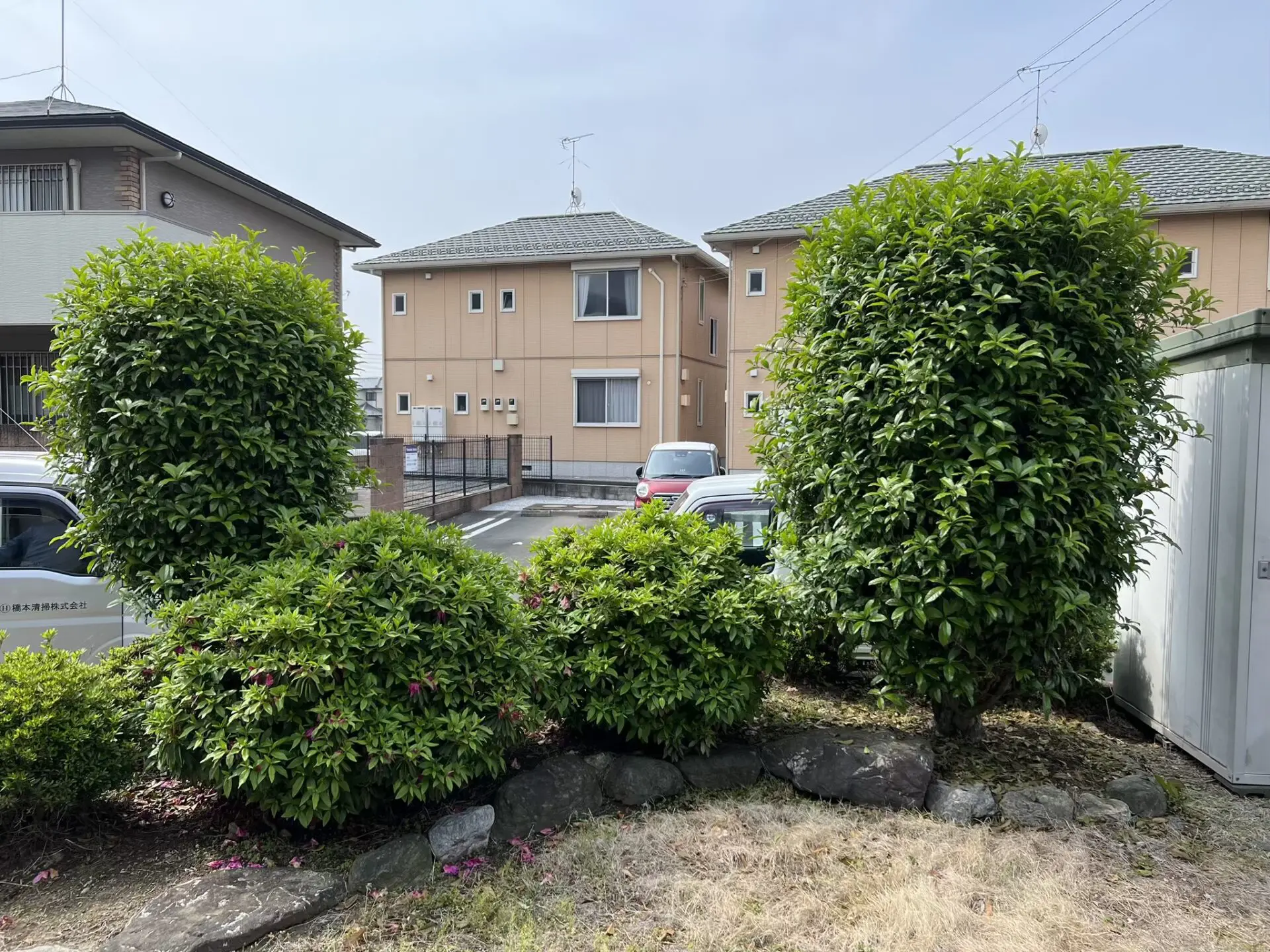 植木 庭木の剪定 群馬県太田市 造園 樹木 キンモクセイ ツツジ サツキ 大川興業