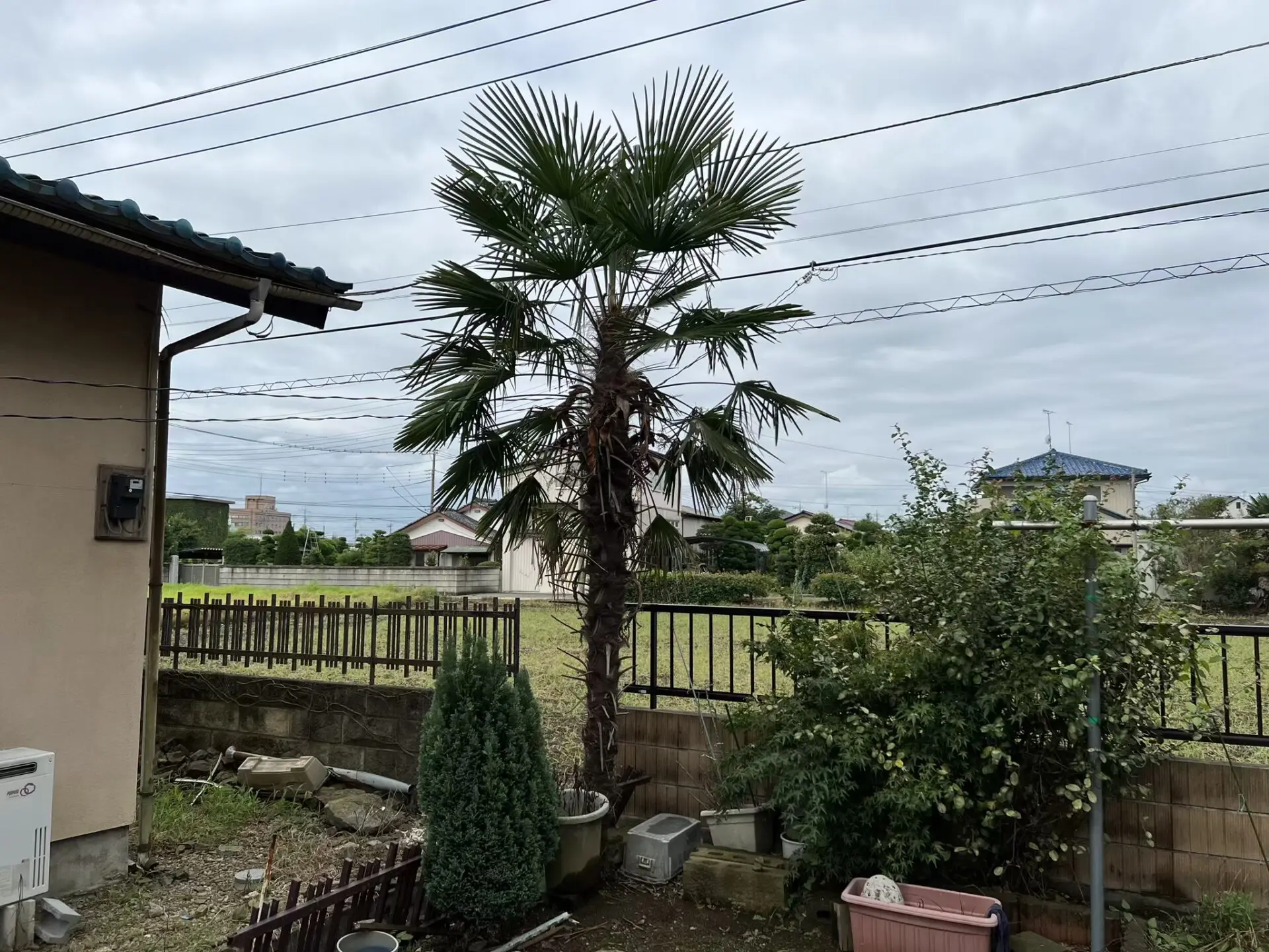 植木 庭木の伐採 抜根 群馬県太田市 造園 無料お見積り 即日対応 大川興業
