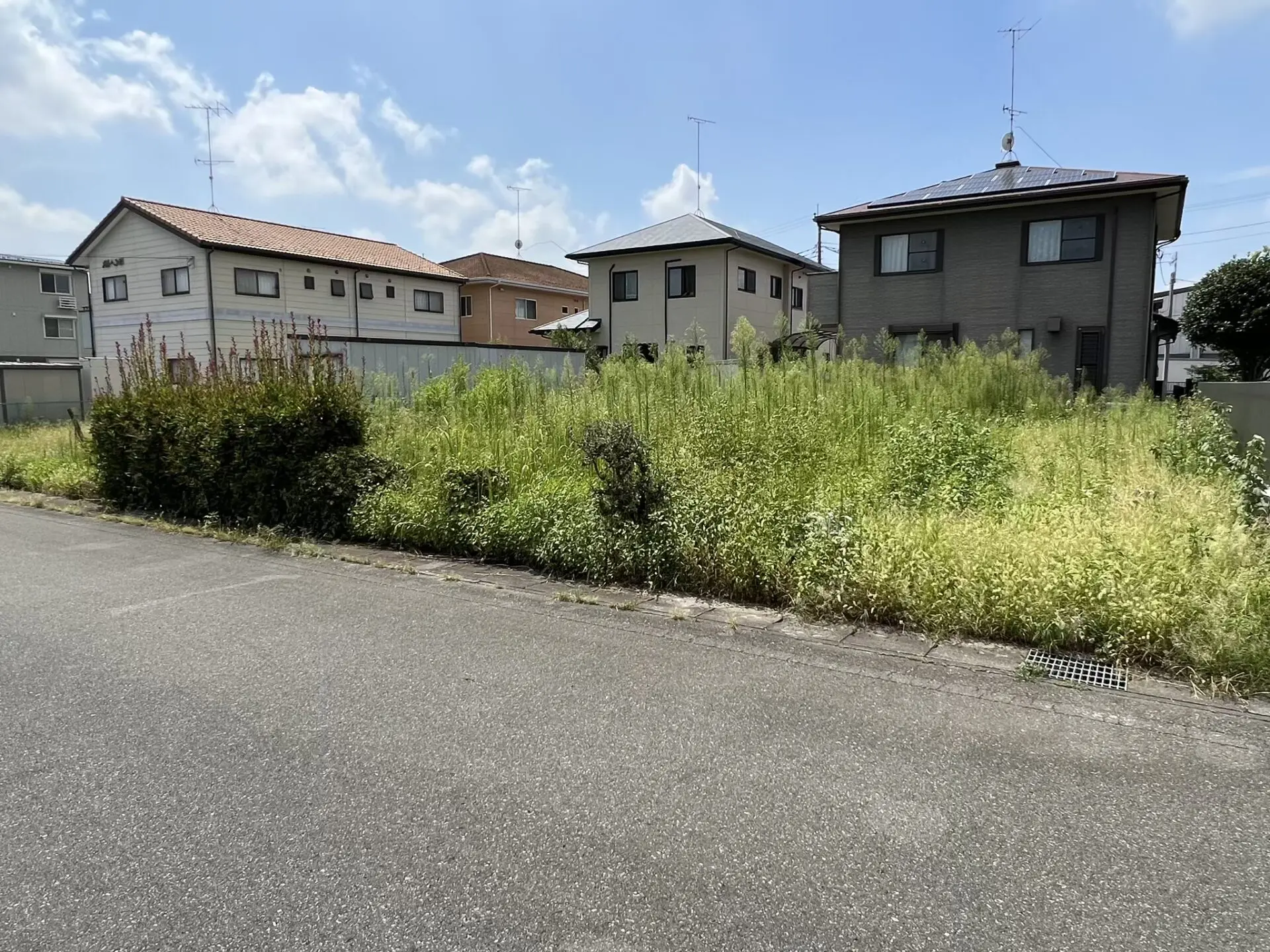 植木 庭木の伐採 抜根 群馬県太田市 造園 無料お見積り 即日対応 大川興業