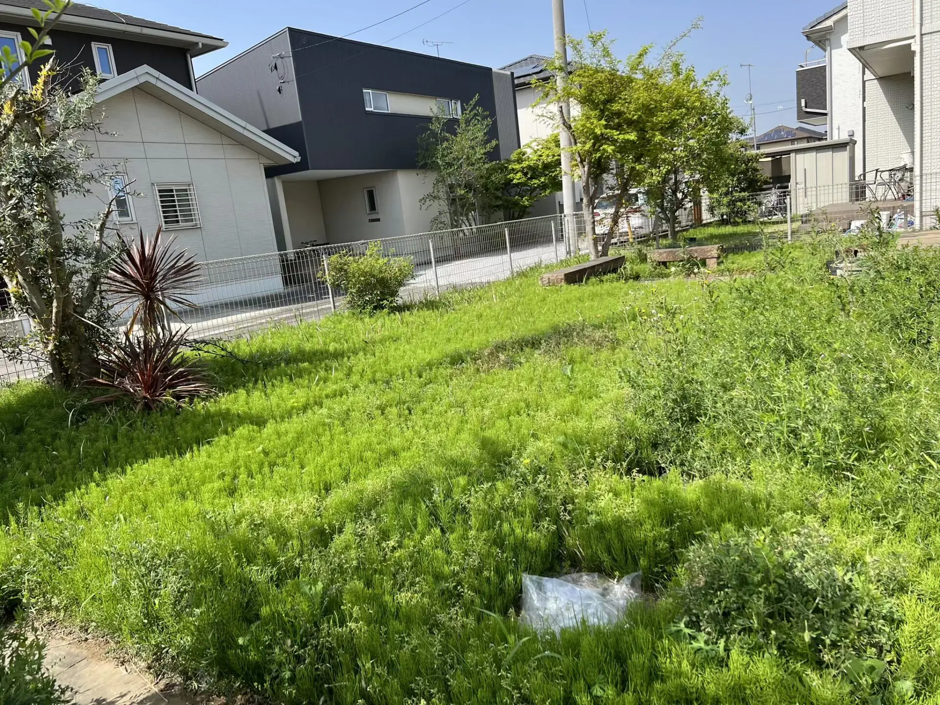 年間管理【群馬県館林市】剪定 草刈り お庭のメンテナンス 庭師 造園 