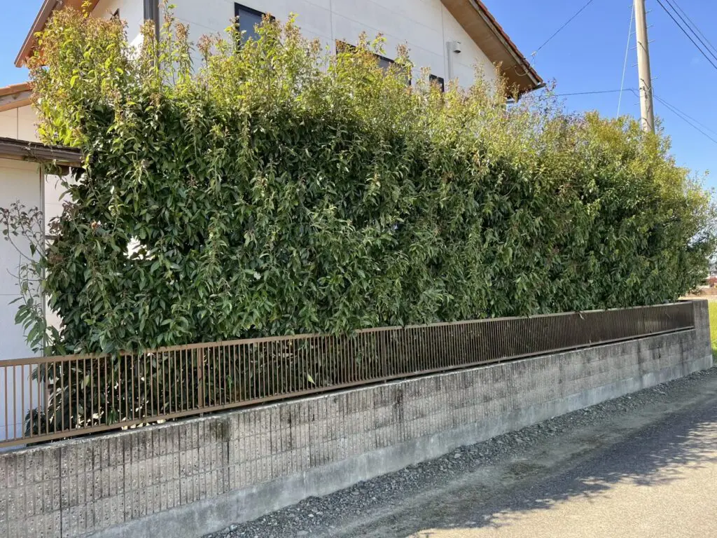 熊谷市 - 【大川興業】