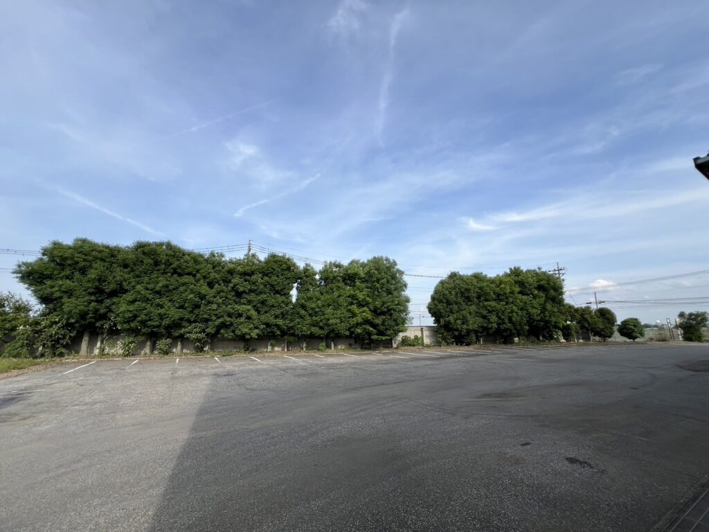 太田市の伐採工事施工前の写真