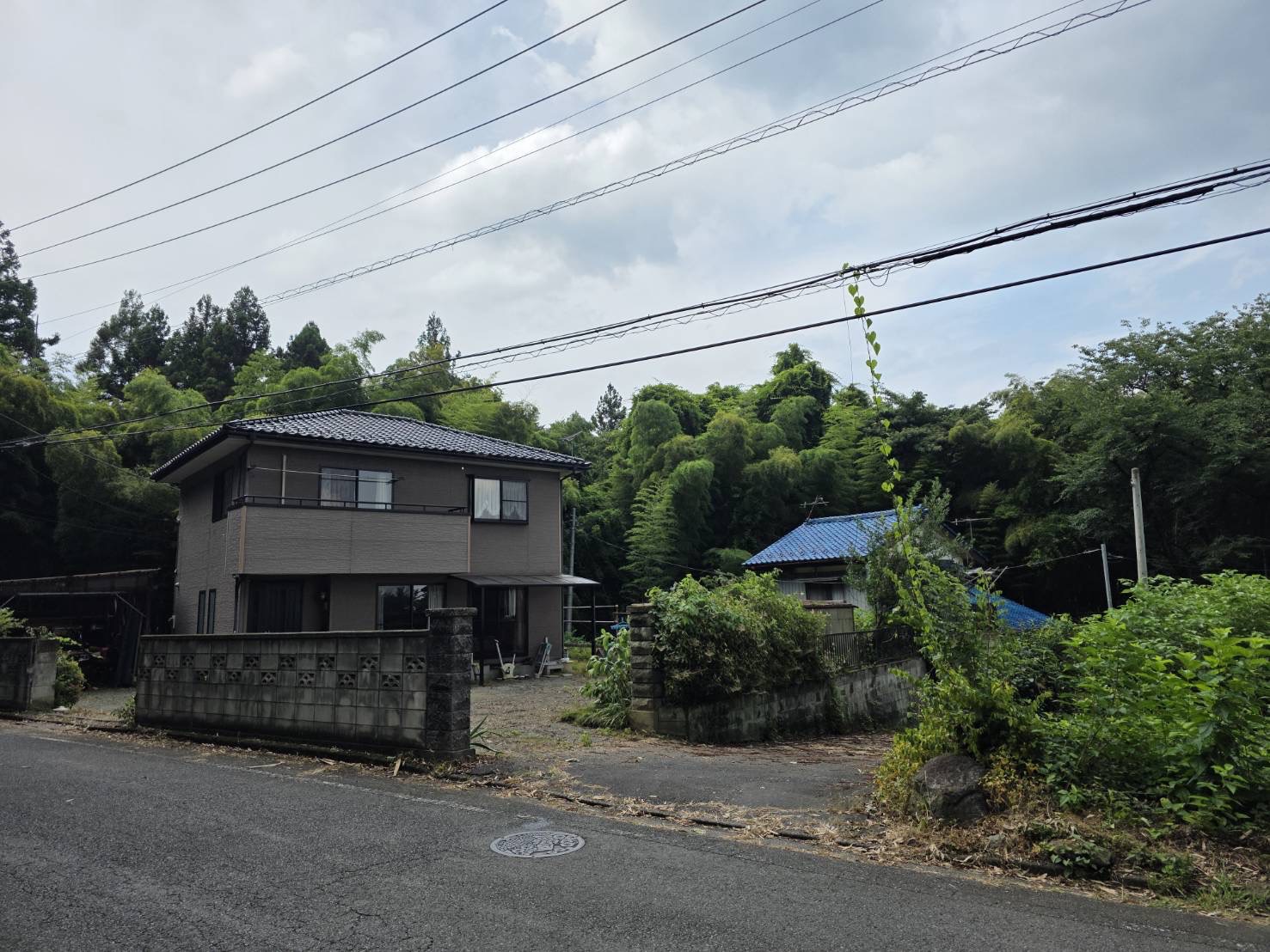 植木屋の伐採作業
